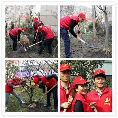裝飾集團(tuán)組織志愿者開(kāi)展“3.12”植樹(shù)活動(dòng)