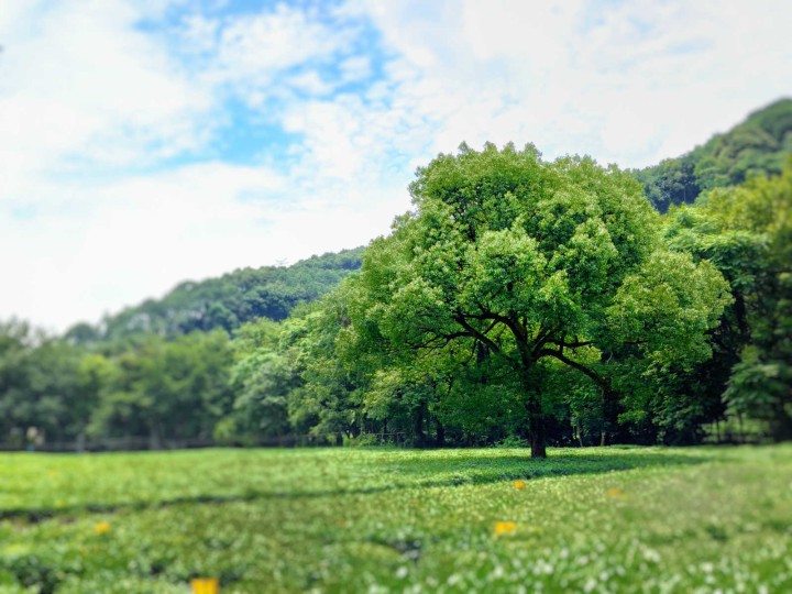 攜手奮進(jìn) 勇攀高峰 ——中天精誠(chéng)裝飾集團(tuán)組織團(tuán)建活動(dòng)