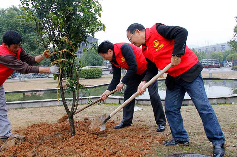 裝飾集團組織開展志愿者“3.12”植樹活動