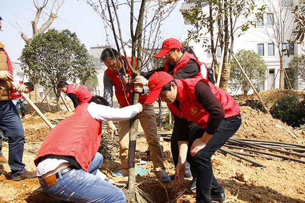 裝飾集團組織開展志愿者“3.12”植樹活動