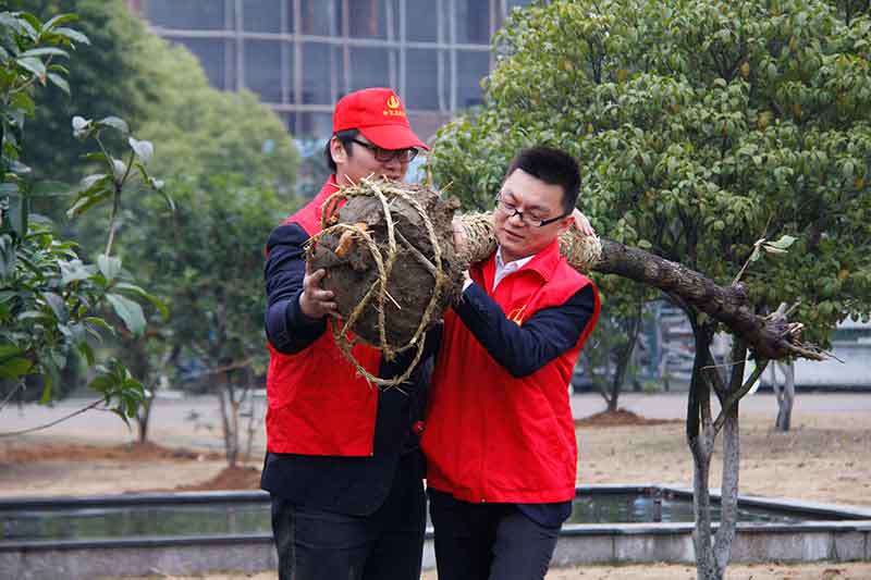 裝飾集團組織開展志愿者“3.12”植樹活動