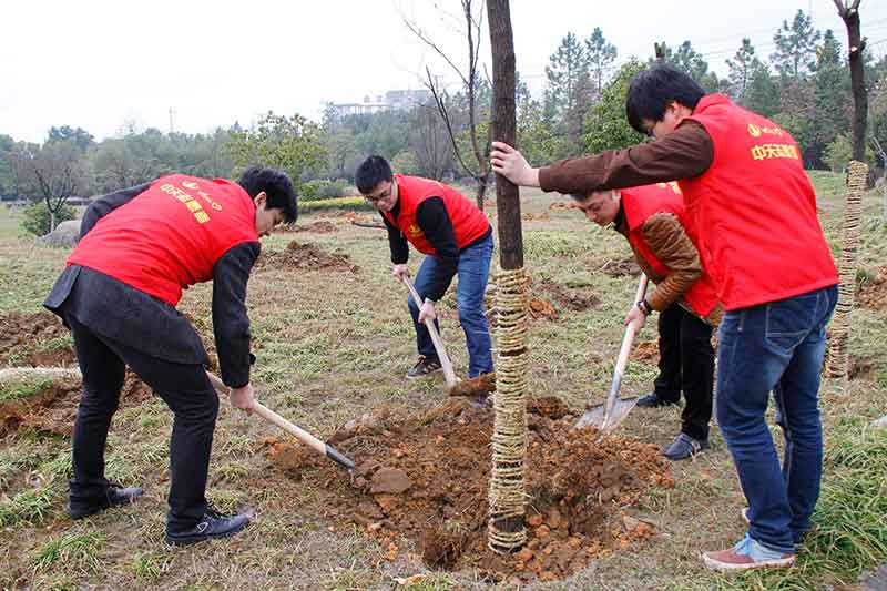 裝飾集團組織開展志愿者“3.12”植樹活動